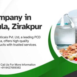 PCD-Company-in-Panchkula-Zirakpur