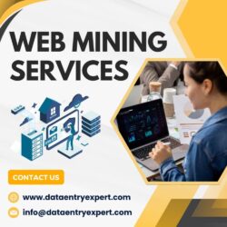 Web Mining Services