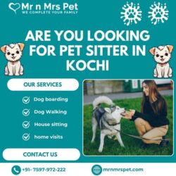 Pet Sitter in Kochi