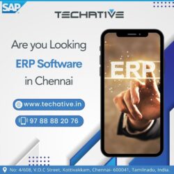 Are-You-Looking-for-ERP-Software-in-Chennai