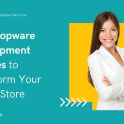 Top Shopware Development Services to Transform Your Online Store