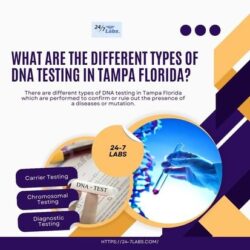 What Are the Different Types of DNA Testing in Tampa Florida?