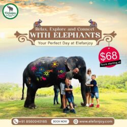 Ethical Elephant Sanctuary in Jaipur - Elefanjoy