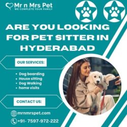 Pet Sitter in Hyderabad