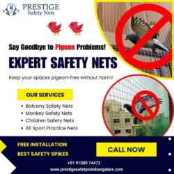 Pigeon safety nets Bangalore