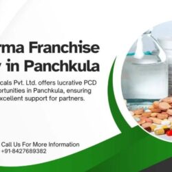 PCD-Pharma-Franchise-Company-in-Panchkula