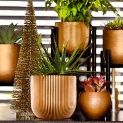 Indoor Planters Table Top Planters