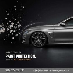 paint protection (1)