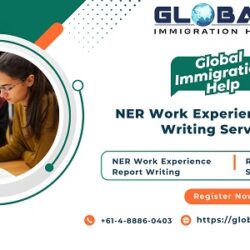 NER Work Experience Report Writing Services