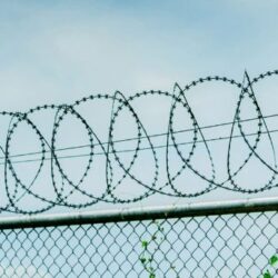 concertina wire