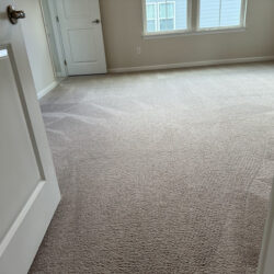 Carpet Cleaning Services in Charlotte NC