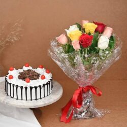 10-mix-roses-and-half-kg-cake-manual-y