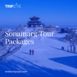 sonamarg tour packages 2