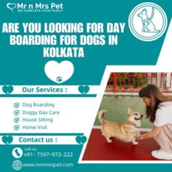 Day Boarding for Dogs in Kolkata .