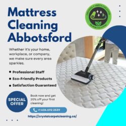 Mattress Cleaning Abbotsford