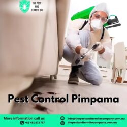 Pest Control Pimpama