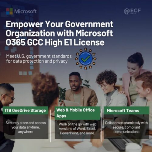 O365_GCC_High_E1_License_2 O365_GCC_High_E1_License_2
