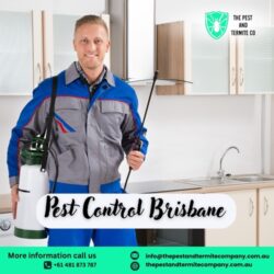 Pest Control Brisbane