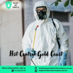 Pest Control Brisbane (1)