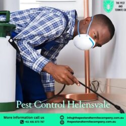 Pest Control Helensvale