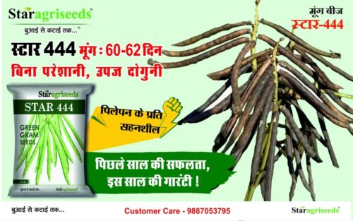 Moong-444 star Moong-444 star