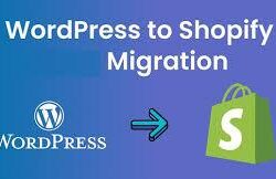 Migrate WordPress to Shopify services