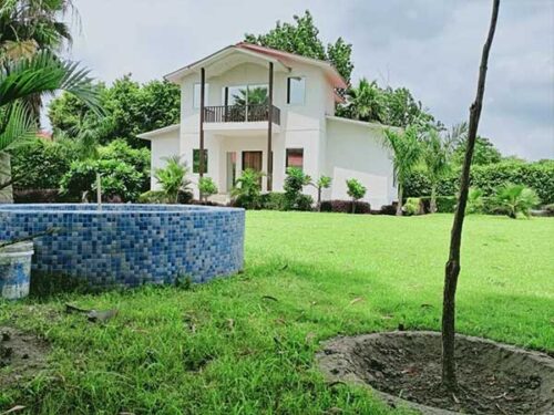 the-lake-view-farms-lush-green-area the-lake-view-farms-lush-green-area