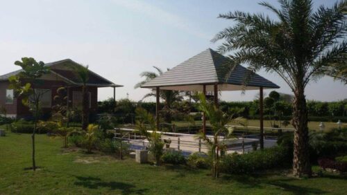 green-beauty-farm-3 green-beauty-farm-3