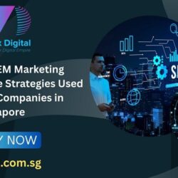 What Is an SEM Marketing Agency  Unique Strategies Used by Top SEM Companies in Singapore
