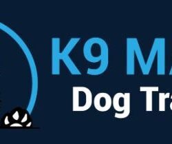 K9 Mania Dog Training