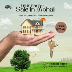 1 BHK Mohali
