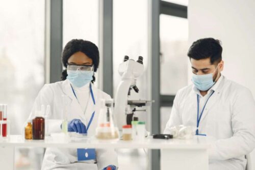 pathology srm pathology srm