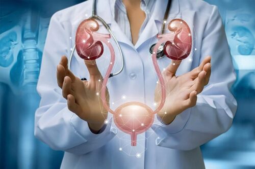 Nephrology Nephrology