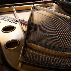 10 Essential Piano Restoration Tips Every Owner Must Know