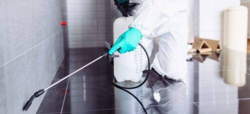1644978425_Pest-Control-Services-2 1644978425_Pest-Control-Services-2