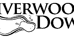 Logo_440x (1)