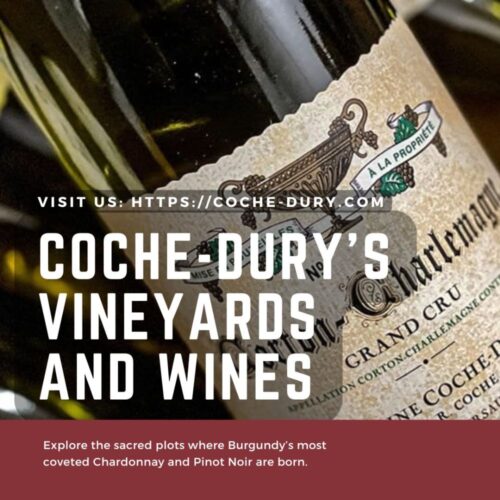 Coche-Dury’s vineyards and wines Coche-Dury’s vineyards and wines
