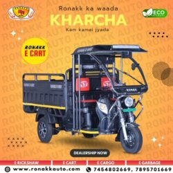 Top Best e rickshaw manufacturer