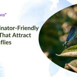 pollinator-friendly (2)