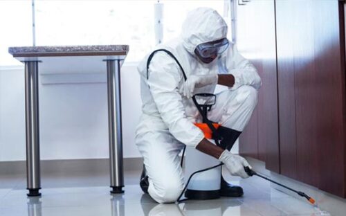 1619573486_commercial-pest 1619573486_commercial-pest