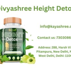 Divyashree Height Detox