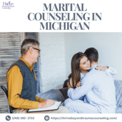 Marital Counseling in Michigan (1)