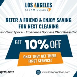 Carpet Cleaning Los ..._imresizer