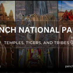 Pench Image