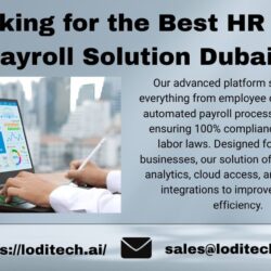 Looking for the Best HR and Payroll Solution Dubai (1)