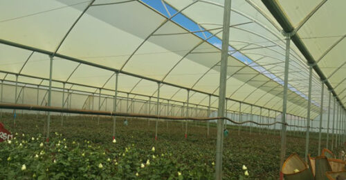 Green net for house- shade nets Green net for house- shade nets