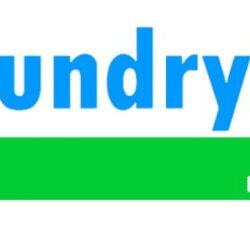dubai laundry(logo)
