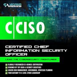CCISO