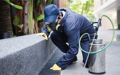 1644978424_industrial-pest 1644978424_industrial-pest