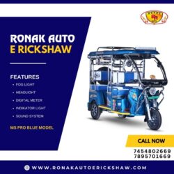 Top 10 e rickshaw manufacturers  (2)